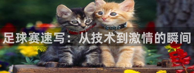 足球赛速写：从技术到激情的瞬间