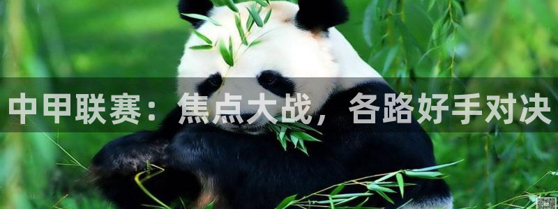 中甲联赛：焦点大战，各路好手对决