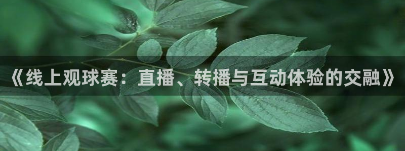  《线上观球赛：直播、转播与互动体验的交融》