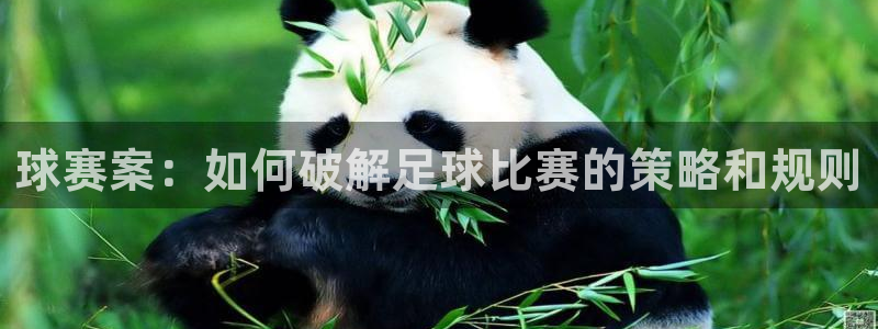 PG体育怎么玩：球赛案：如何破解足球