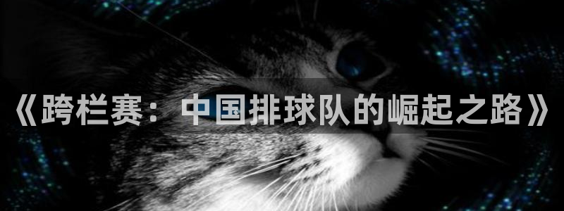  体育app官方：《跨栏赛：中国排球队的崛起之路》