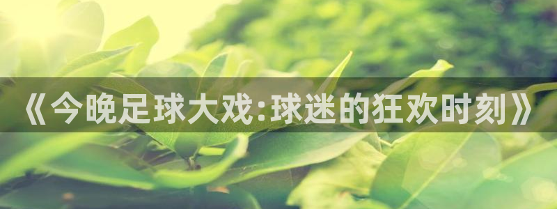 苹果体育：《今晚足球大戏:球迷的狂欢时刻》