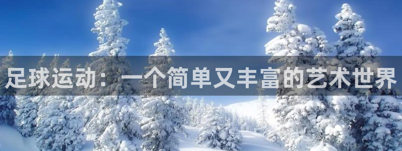 pg体育官网入口网页版：足球运动：一个简单又丰富的艺术世界