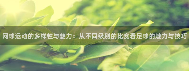 苹果体育赛事组件怎么设置：网球运动的多样性与魅力：从不同级别