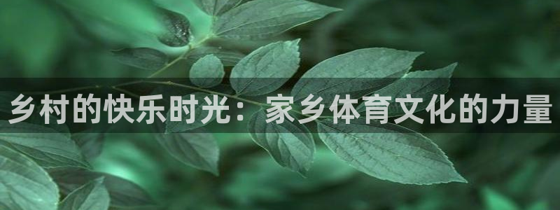 pg体育游戏app：乡村的快乐时光：家乡体育文化的力量