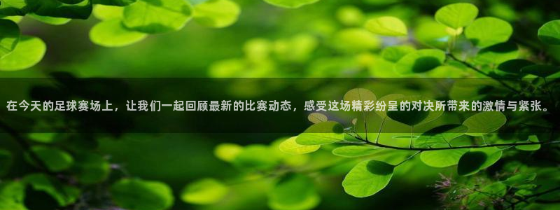 苹果体验游戏：在今天的足球赛场上，让我们一起回顾最新的比赛动