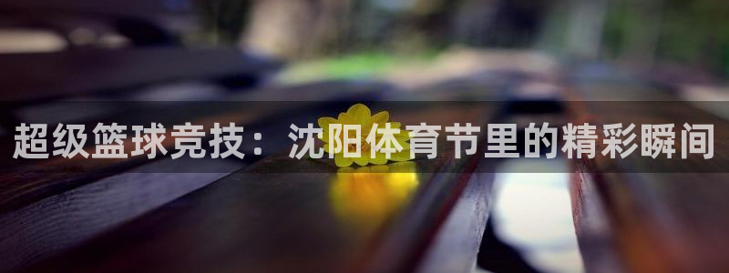  苹果体验游戏：超级篮球竞技：沈阳体育节里的精彩瞬间